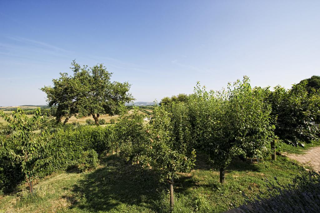 Agriturismo I Roseti Montepulciano Quarto foto